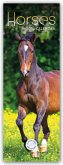 Horses - Pferde 2026 - Slimline-Kalender Horses - Pferde 2026 - Slimline-Kalender
