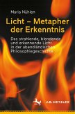 Licht - Metapher der Erkenntnis (eBook, PDF)