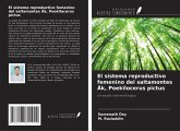 El sistema reproductivo femenino del saltamontes ¿k, Poekilocerus pictus El sistema reproductivo femenino del saltamontes ¿k, Poekilocerus pictus