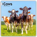 Cows - Kühe 2026 - 16-Monatskalender