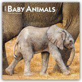 Baby Animals - Tierbabys - Tierkinder 2026 - 16-Monatskalender Baby Animals - Tierbabys - Tierkinder 2026 - 16-Monatskalender