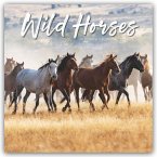 Wild Horses - Wildpferde 2026 - Wand-Kalender Wild Horses - Wildpferde 2026 - Wand-Kalender