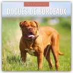 Dogues de Bordeaux - Bordeauxdoggen - Bordeaux Doggen 2026 - 16-Monatskalender Dogues de Bordeaux - Bordeauxdoggen - Bordeaux Doggen 2026 - 16-Monatskalender