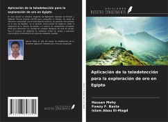 Cover Aplicación de la teledetección para la exploración de oro en Egipto