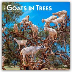 Goats in Trees - Ziegen in Bäumen 2026 - 16-Monatskalender - BrownTrout Publishers Inc