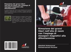 Cover Rimozione dei grassi liberi nell'olio di neem con l'impiego di mesopori magnetici alla difenilammina