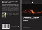 Propagación y extinción de frentes de llama en canales