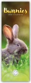 Bunnies - Hasen - Kaninchen 2026 - Slimline-Kalender Bunnies - Hasen - Kaninchen 2026 - Slimline-Kalender