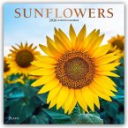 Sunflowers - Sonnenblumen 2026 - 16-Monatskalender