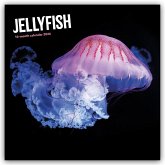 Jellyfish - Quallen 2026 - Wand-Kalender Jellyfish - Quallen 2026 - Wand-Kalender