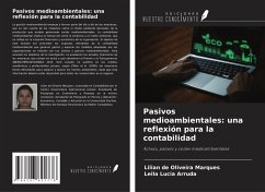 Cover Pasivos medioambientales: una reflexión para la contabilidad