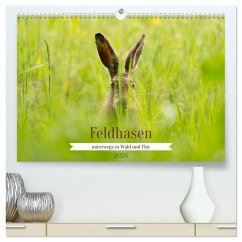 Feldhasen unterwegs in Wald und Flur (hochwertiger Premium Wandkalender 2026 DIN A2 quer), Kunstdruck in Hochglanz