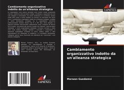 Cover Cambiamento organizzativo indotto da un'alleanza strategica