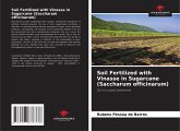Soil Fertilized with Vinasse in Sugarcane (Saccharum officinarum)