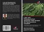 L'IgY anti-Photobacterium damselae nella terapia del Rachycentron canadum