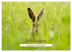 Feldhasen unterwegs in Wald und Flur (Tischkalender 2026 DIN A5 quer), CALVENDO Monatskalender