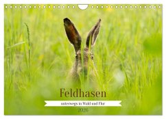 Cover Feldhasen unterwegs in Wald und Flur (Wandkalender 2026 DIN A4 quer), CALVENDO Monatskalender