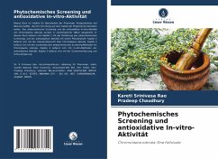 Cover Phytochemisches Screening und antioxidative In-vitro-Aktivität