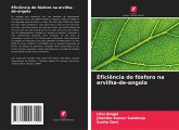 Eficiência do fósforo na ervilha-de-angola Eficiência do fósforo na ervilha-de-angola