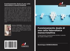 Cover Funzionamento duale di una cella fotovoltaica monocristallina