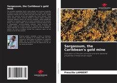 Cover Sargassum, the Caribbean's gold mine