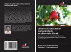 Albero di anacardio (Anacardium occidentale Linn)