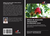 Albero di anacardio (Anacardium occidentale Linn) Albero di anacardio (Anacardium occidentale Linn)