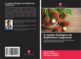 O aspeto biológico do Nephelium Lappceum
