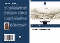 Cover Projektmotivation