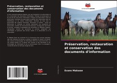 Cover Préservation, restauration et conservation des documents d'information