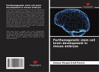Parthenogenetic stem cell brain development in mouse embryos
