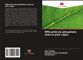 Efficacité du phosphore chez le pois cajan Efficacité du phosphore chez le pois cajan