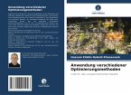 Anwendung verschiedener Optimierungsmethoden