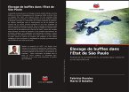 Élevage de buffles dans l'État de São Paulo Élevage de buffles dans l'État de São Paulo