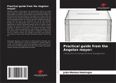 Practical guide from the Angolan mayor: Practical guide from the Angolan mayor: