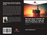 Récupération assistée du pétrole (EOR) à l'aide de risers d'injection de CO2 Récupération assistée du pétrole (EOR) à l'aide de risers d'injection de CO2