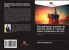Cover Récupération assistée du pétrole (EOR) à l'aide de risers d'injection de CO2