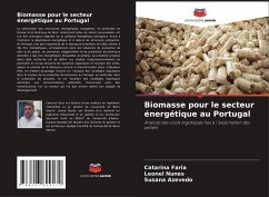 Cover Biomasse pour le secteur énergétique au Portugal