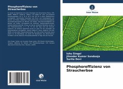 Cover Phosphoreffizienz von Straucherbse