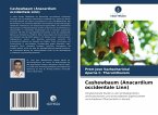 Cashewbaum (Anacardium occidentale Linn)
