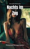 Nachts im Zug (eBook, ePUB) Nachts im Zug (eBook, ePUB)