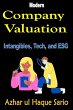 Modern Company Valuation (eBook, ePUB) - Bild 1