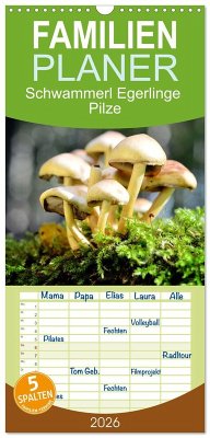Familienplaner 2026 - Schwammerl Egerlinge Pilze mit 5 Spalten (Wandkalender, 21 x 45 cm) CALVENDO
