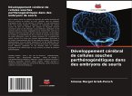 Développement cérébral de cellules souches parthénogénétiques dans des embryons de souris