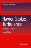 Navier-Stokes Turbulence