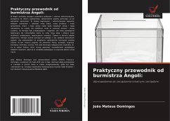 Cover Praktyczny przewodnik od burmistrza Angoli: