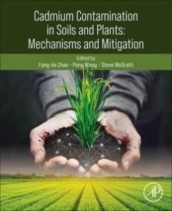 Cover Cadmium Contamination in Soils and Plants