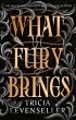 What Fury Brings (eBook, ePUB) - Bild 1
