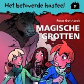 Het betoverde kasteel 5 - Magische Grotten (MP3-Download)