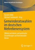 Gemeinderatswahlen im deutschen Mehrebenensystem (eBook, PDF)